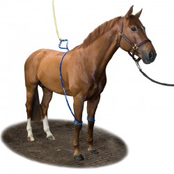 Equine Legcooler Base Plus