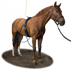 Equine Legcooler Compleet